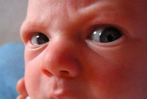 Забавные малыши (30 фото)