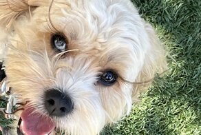 Очарование инаковости: непохожие на других и потому прекрасные