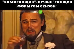 Свиншот и толстохульство: новые каламбуры и лингвошутки