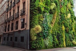 15 фотографий из Испании, которые демонстрируют интересные особенности страны