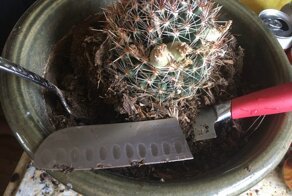 20 человек, которые поняли, что рядом живёт "чудовище"