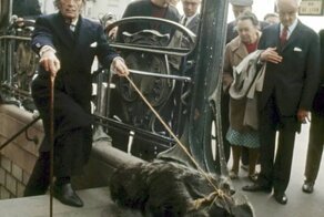 Странности талантливых людей: от боязни яиц Хичкоком до «туалетного юмора» Моцарта