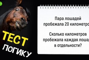 Тест на логику и здравый смысл