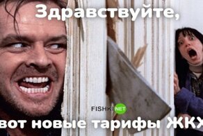 Растёт даже без растишки: с юмором о коммунальных платежах