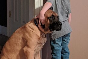 Крепкая дружба человека и питомца – 18 чудесных примеров в фото