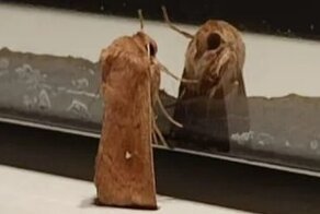 С миру по нитке: 30 интересных фотографий, которые вас отвлекут