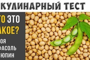 Кулинарный тест для тех, кто любит поесть