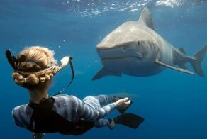 16 фотографий, на которых человек стал чуточку ближе к удивительным созданиям природы