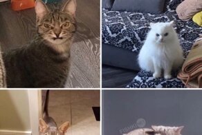 С миру по нитке