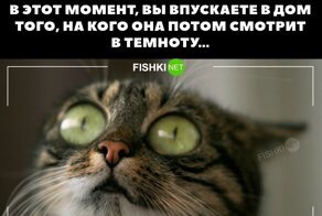 Йожика картинки. Выпуск 222