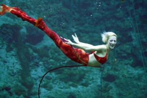 Парк развлечений Weeki Wachee Springs во Флориде: подводное шоу настоящих русалок (6 фото)