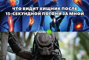 Вечерний марафон юмора и позитива