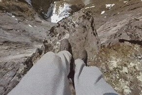Гифки дня