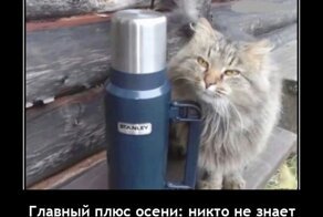 Весёлые демотиваторы