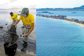 Чтобы спасти лагуну, испанские власти признали человеком