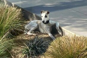 C миру по нитке