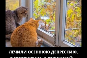 Осенние демотиваторы