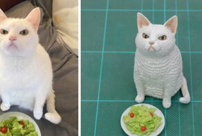 Японец превращает легендарные мемы с животными в забавные фигурки