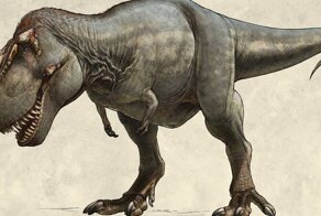 Почему у тираннозавров были такие маленькие лапки