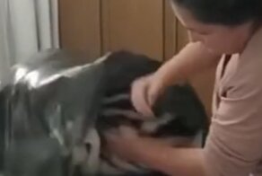 Влезет всё: как быстро и эффективно упаковать объемные вещи