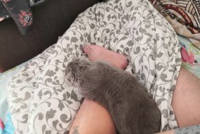 Не опоздал, а задержался: с юмором о тех, у кого сложные отношения с пунктуальностью