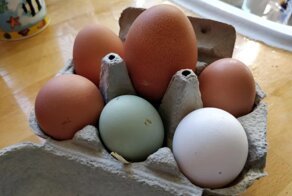 18 победителей продуктовой лотереи, которые решили похвастаться своими съедобными выигрышами