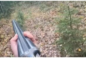 Неожиданная встреча с медведицей на охоте