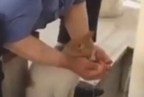 "Пей, мой хороший": мужчина напоил котика из ладоней