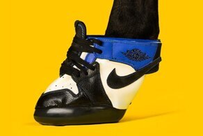 Очередные копыта мира моды: кроссовки для лошадей за 1200 долларов