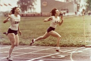 Шоколад с насекомыми, смерть от гусей и клоуна и другие любопытные факты обо всём на свете