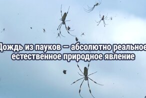 20 неприятных фактов, которые хочется сразу же забыть