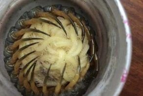 15 крышесносных изображений, которые заставят вас затаить дыхание