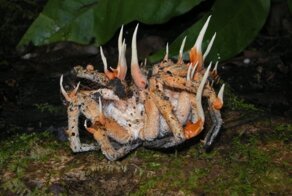 Фото, которые и пугают, и просвещают