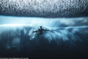 Победители фотоконкурса Ocean Photographer of the Year 2022