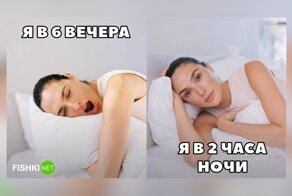 Пост о полуночниках, посвящённый всем тем, кого мучает бессонница