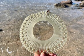 15 неожиданных находок, которые люди обнаружили на пляже