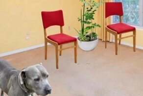 30 фото из риэлторских объявлений, на которые без слез не взглянешь