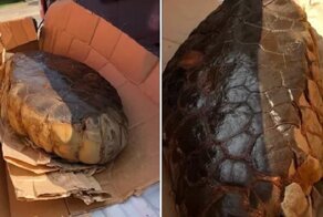 Удивительные находки, которые трудно объяснить