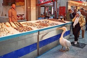 23 интересных фотографий из Египта, которые покажут его скрытую сторону