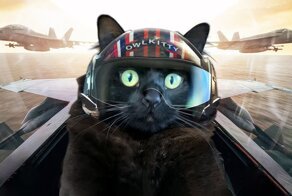 Если бы в продолжении фильма "Top Gun" снялся кот