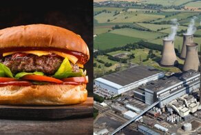 Ученые подсчитали, сколько надо есть бургеров, чтобы спасти планету от тотального климатического апокалипсиса
