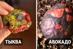 Что происходит с вещами, о которых забыли на некоторое время