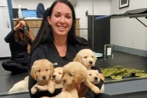 Работа ветеринара полна сюрпризов