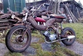 Самодельный мопед с рамой из дубовой коряги
