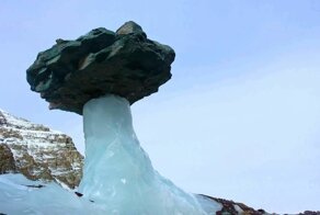У природы всегда припасено для нас что-то удивительное