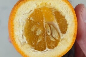 Самый худший день