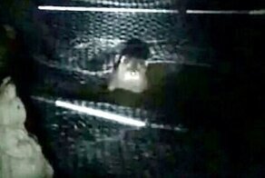 Более 100 карпов кои пали жертвой прожорливого нарушителя границ