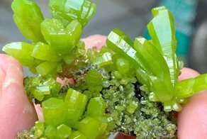 17 фотографий диковинок, которые одна на миллион