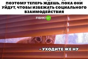 Весёлые картинки!