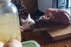 Шалость удалась